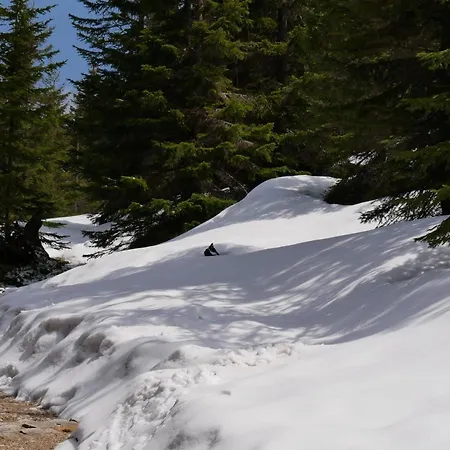 Mondi Kai I - Idealny Na W Gorach Schreiberhau