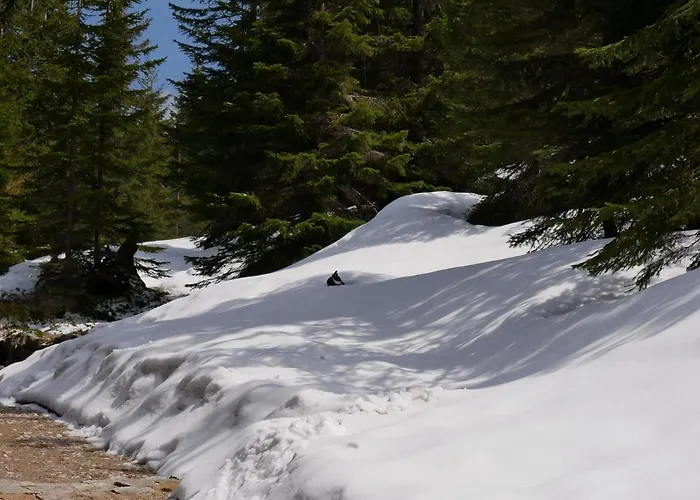 Mondi Kai I - Idealny Na W Gorach Szklarska Poreba